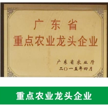 廣東省重點農業(yè)龍頭企業(yè)